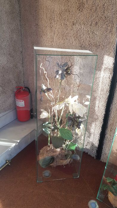 Aranjament floral 100 lei