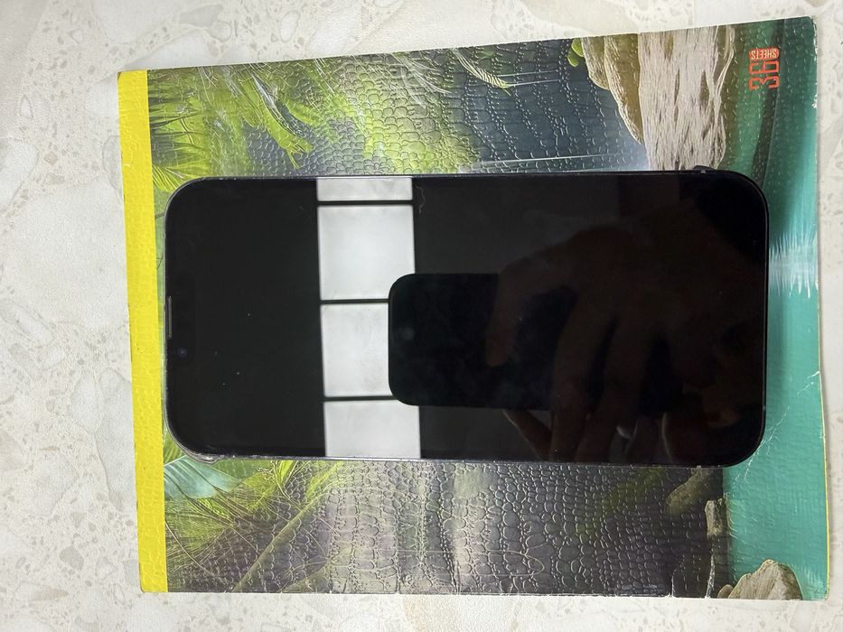 iPhone 13 pro max 256 gb