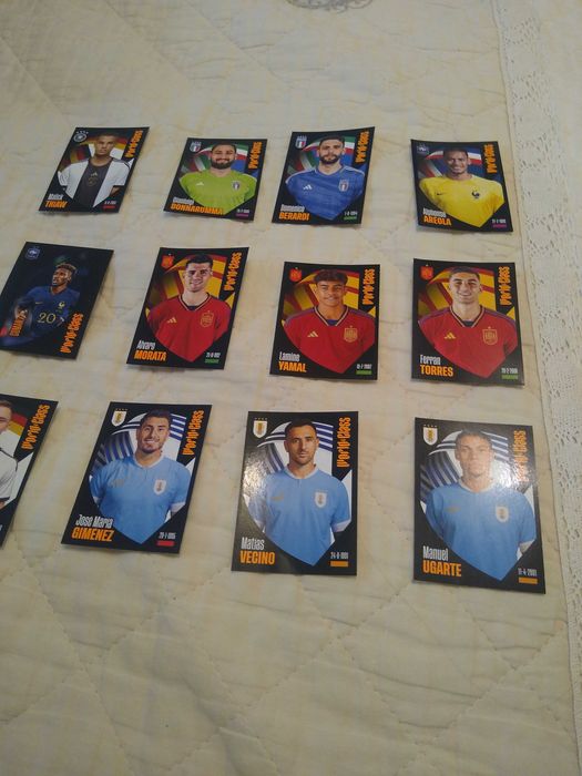 Stickere fotbal  Word Class 2024