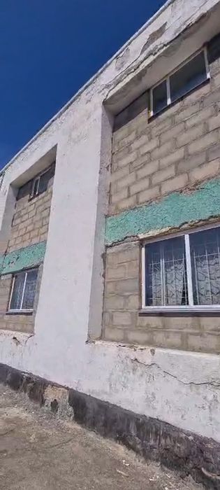 Овцы.баран.Кои-обмен на магазин.