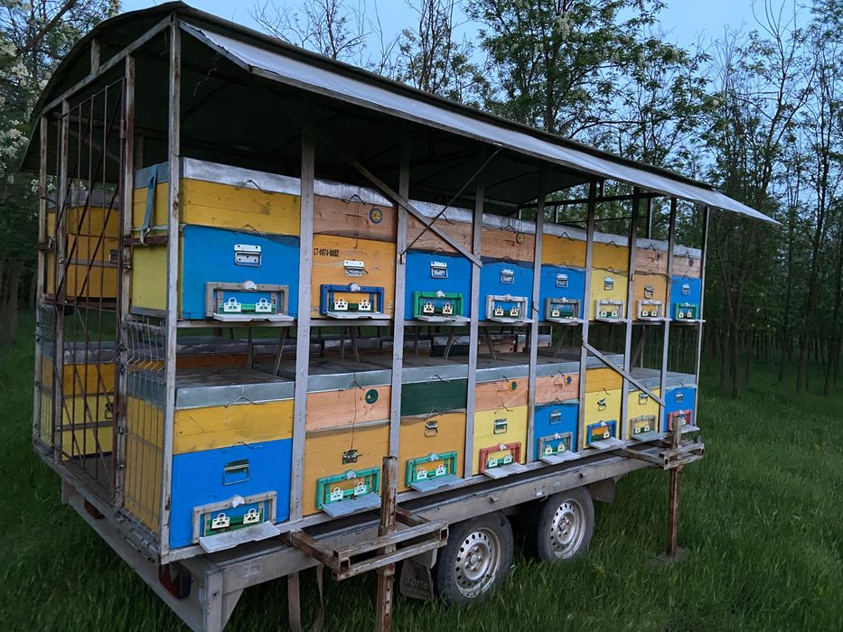 Rastel apicol cu sau fără lăzi