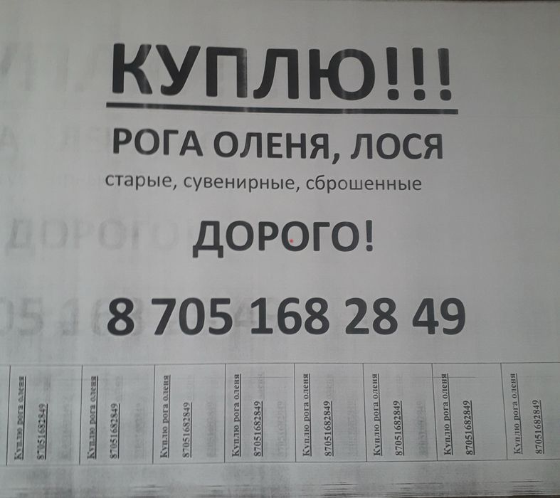 Рога звоните договоримся приеду