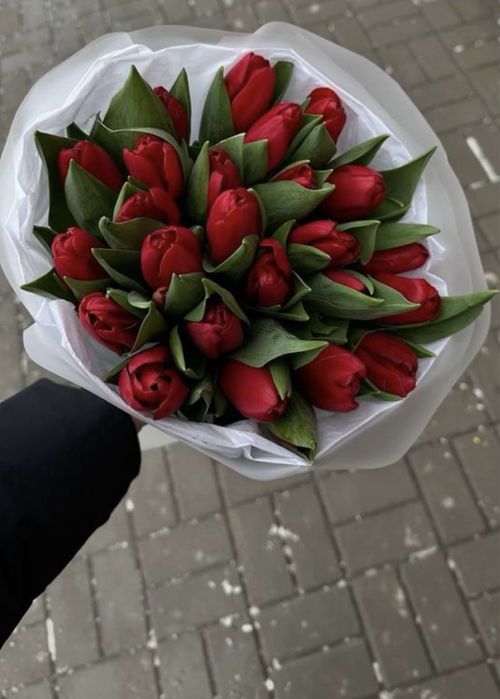 Тюльпаны на 8 марта