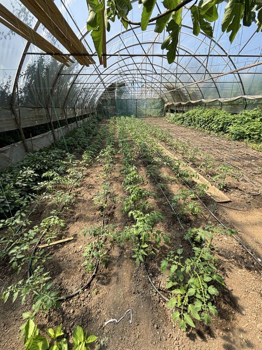 PROMOTIE!! Solar 300m - arcade solar 10x30m