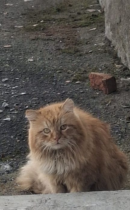 Ищет своего человека.