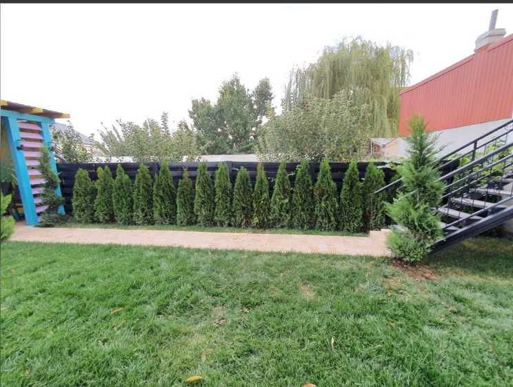 Gazon Rulou, Sisteme de irigare Plante Ornamentale