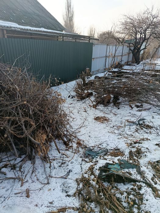 Отдам дрова бесплатно