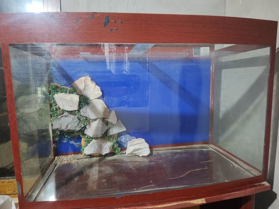 Akvariyum 250 litrli