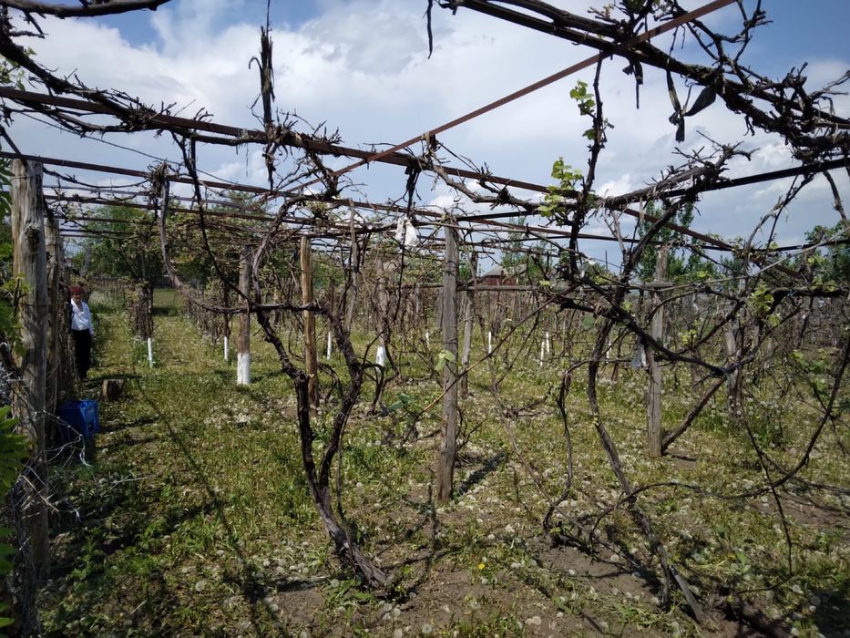 Teren si casa de vanzare Lespezi - Bursuc Deal