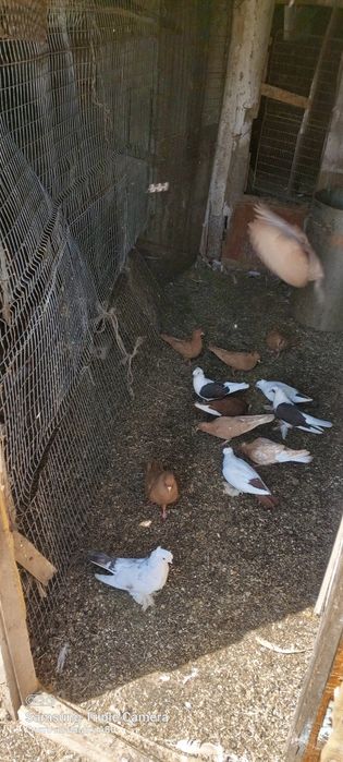 Продам договаримся