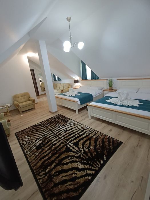 Casa , pensiune de vânzare la 20 km de Baia Mare