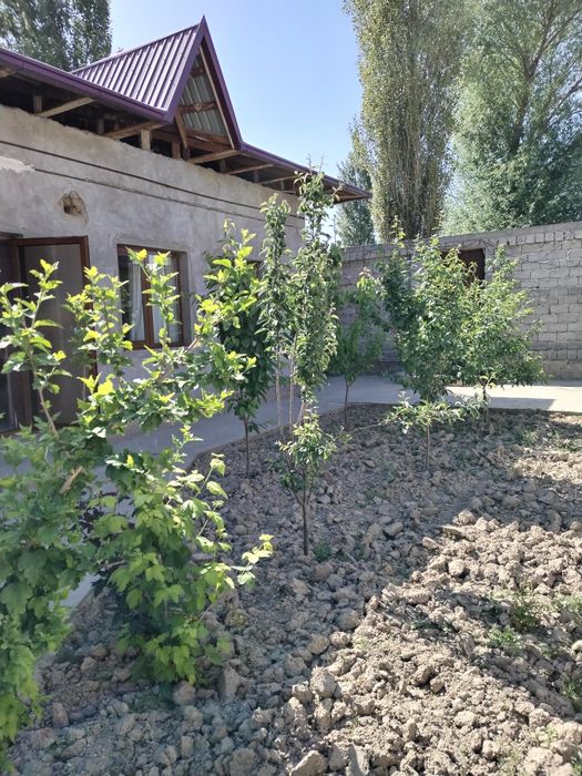 Yangi yol tumani 4 +1