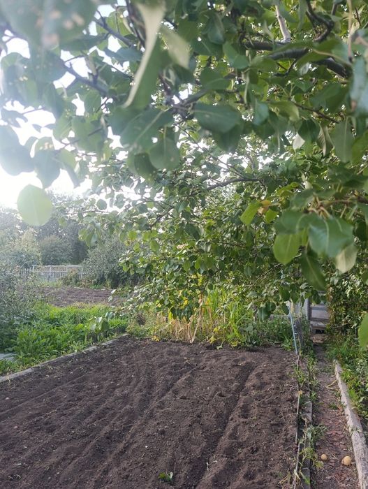 Продам дачу на правом берегу