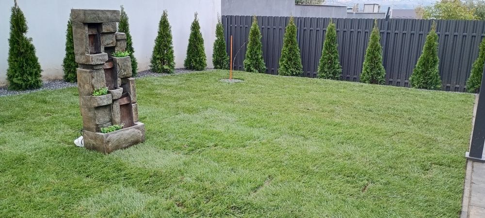 Toaletare,amenajare și întreținere spatii verzi