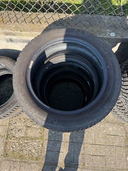 Голямо Разнообразие от Гуми!