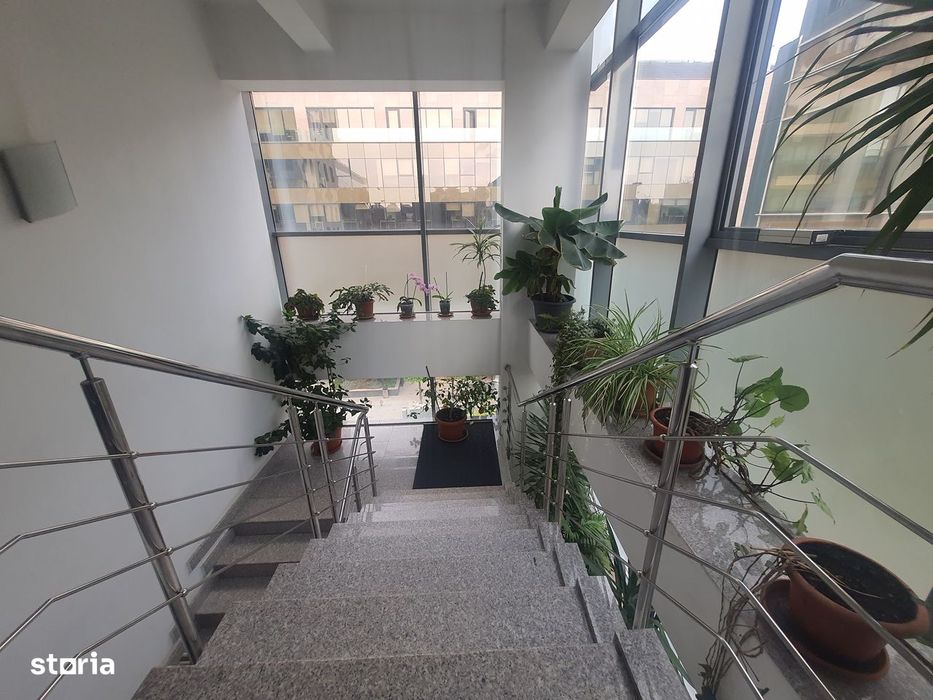 Spatiu Sf Lazar - Pallas Moll