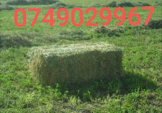 Vând baloți lucernă cea mai bună calitate