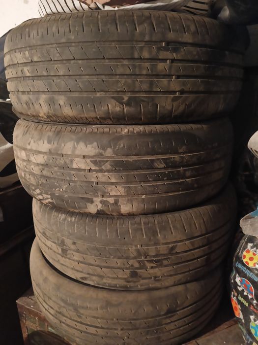 Зима лето все общи