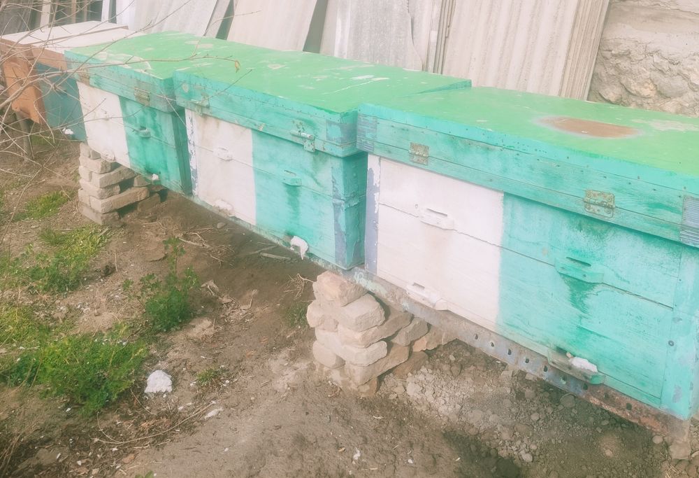 Асал ари Сотилади