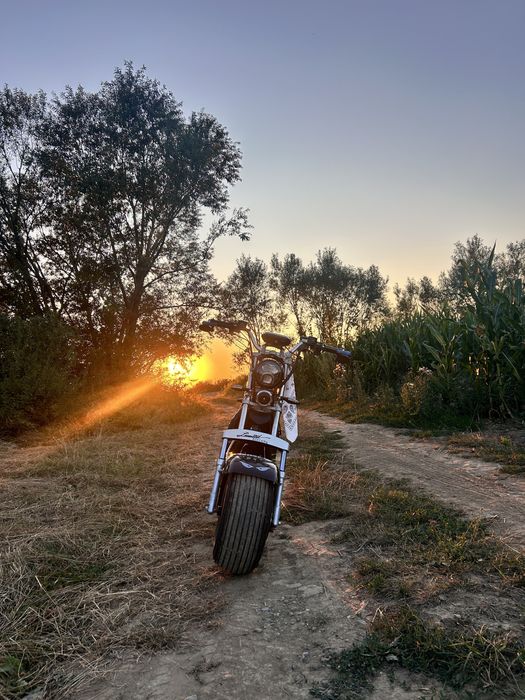Harley electric.