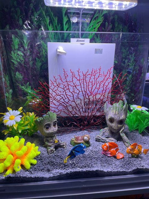 Akvarium Dokoni Sergili va mirobod