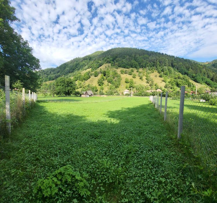 Teren de vânzare