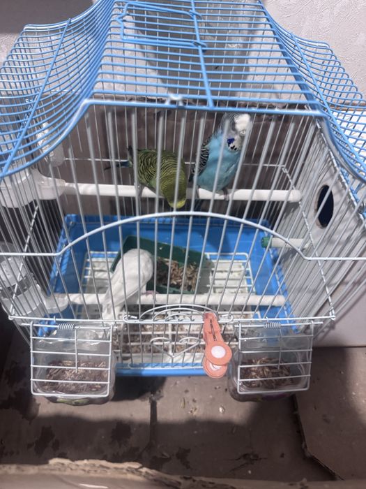 тор, ванна, бәрін беріп жіберем