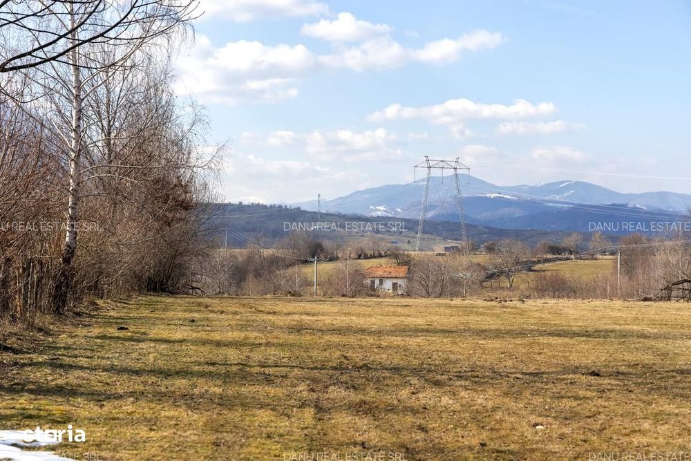 Bran Sohodol,5967mp+teren bonus,intravilan constructii P+E+M,comision0