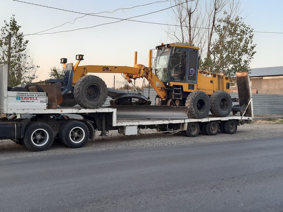 Услуга трал цена дог