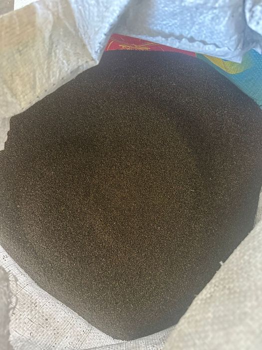 Продам Сема люцерны свежие 2025