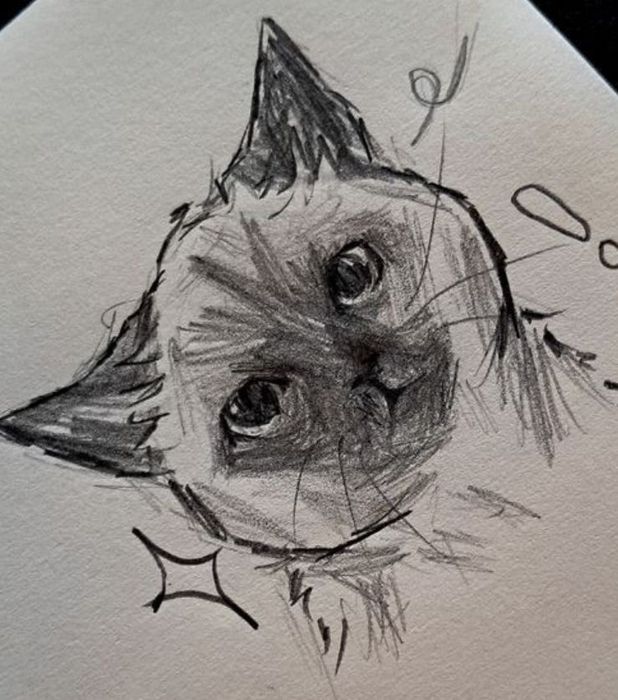 Рисую ваших животных :)