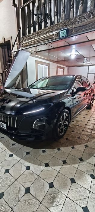 Xonji honji equ5 2025 natarus tayor bor