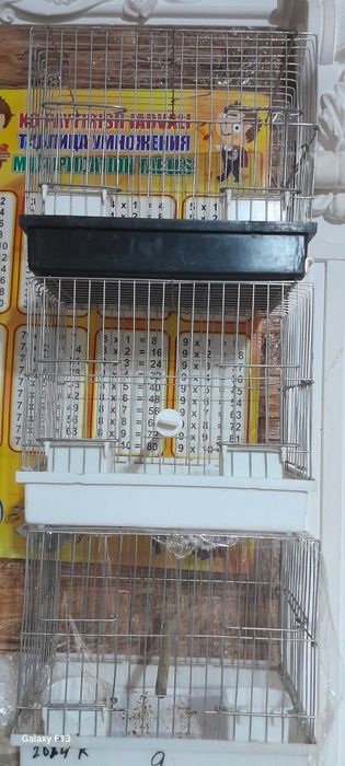 Qapas sotilad sayratma qapas 45-mindan manzil towkent ewonguzarda