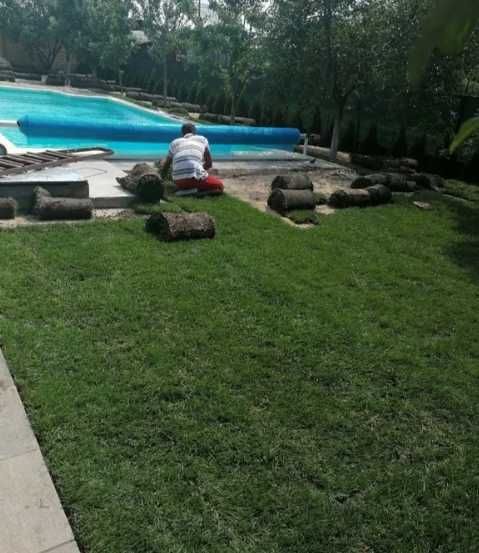 Gazon Rulou Calitate extra