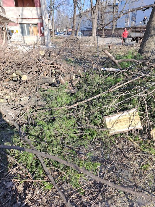 Defrișări/Cosit Iarbă/Tăiere Arbori/De Mari Dimensiuni.