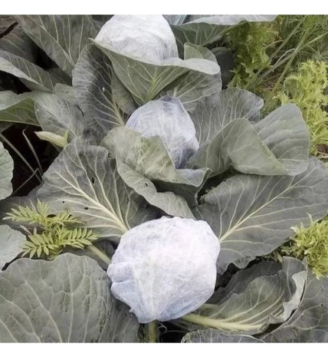 Защитные шапочки  для  различных нужд