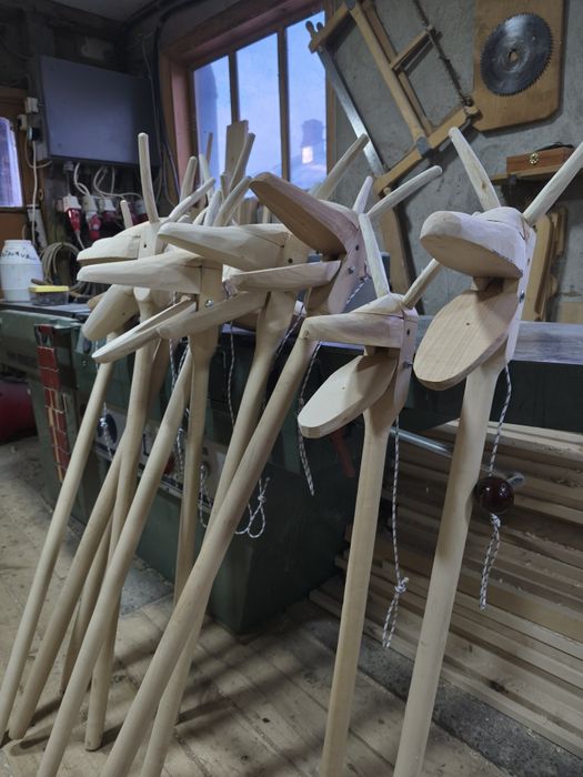 Căprițe de anul nou .