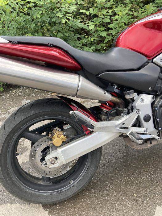 Honda hornet 919