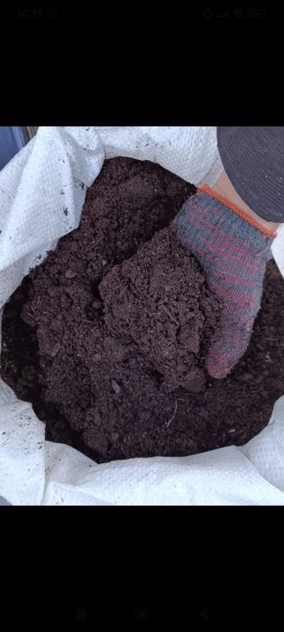 Перегной перегной