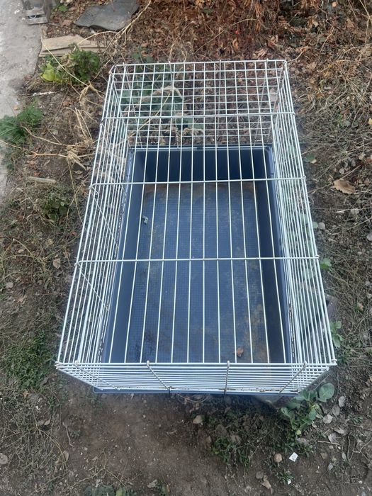 Клетка большая…..