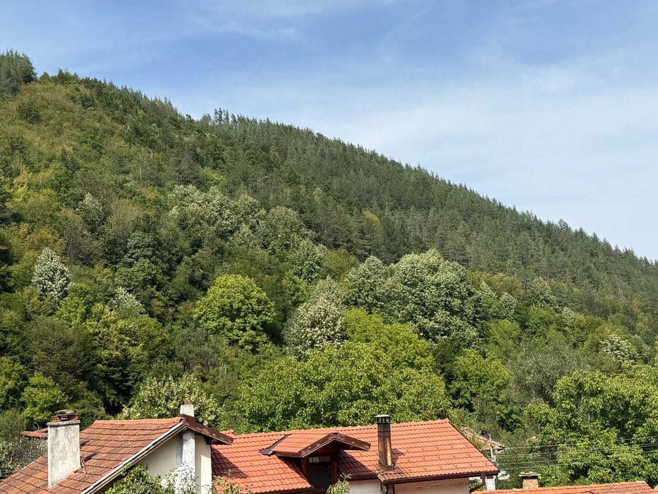 Продава се Къща в с. Чифлик, Област Ловеч - 180 кв.м за 1106 €/кв.м - Снимка #15