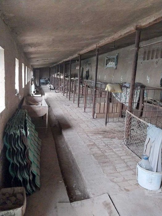 16 sotix 8 sotixdan 2 ta kadastr. 16 Сотих 8 сотихдан 2 та кадастр