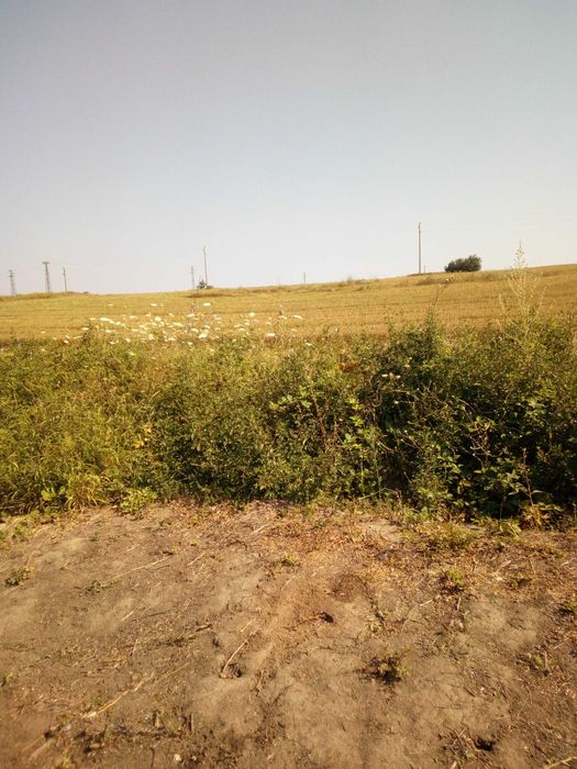 Продава се Земеделски имот в с. Близнаци, Област Варна -  кв.м за 8840 €/дка - Снимка #6