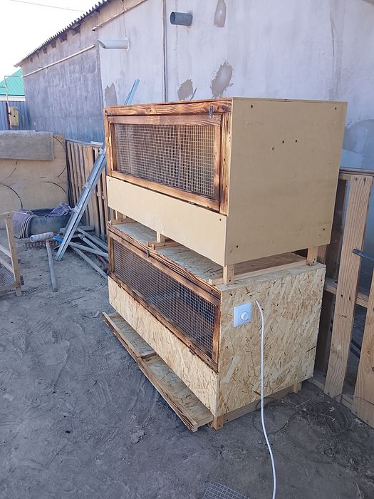 Брудер балапанга арналган новый