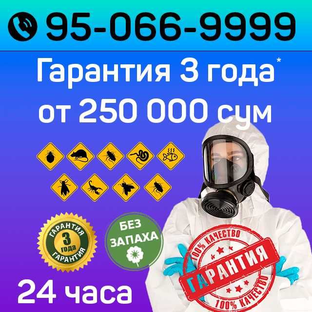 Dezinfeksiya klop tarakan Дезинфекция СКИДКИ до 40%