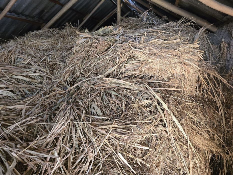 Somon joxari beda aralash sotiladi