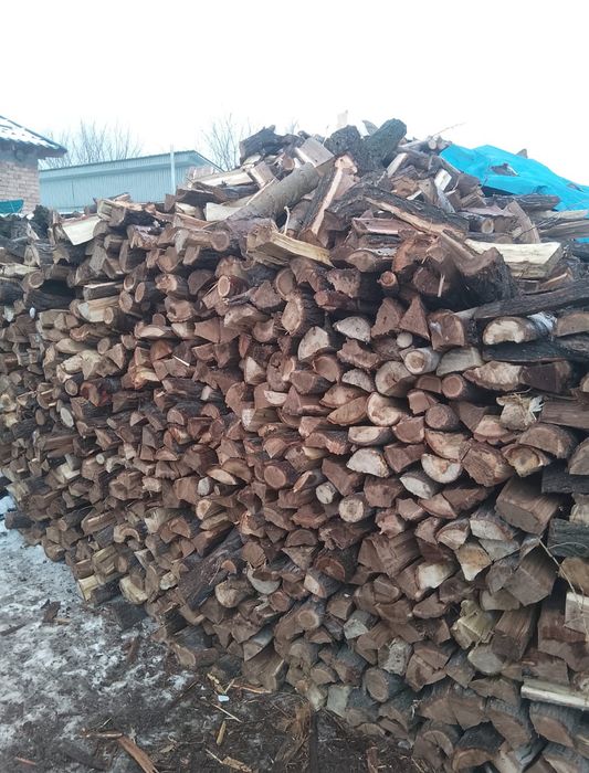 Дрова  карагач пополь