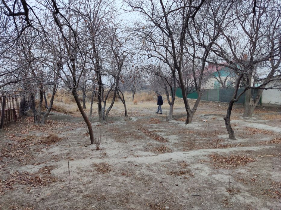 Дача сотилади маданиятда, Зарафшон махалла