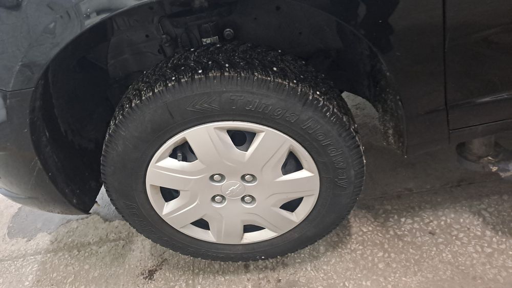 Тунга в хорошем состоянии