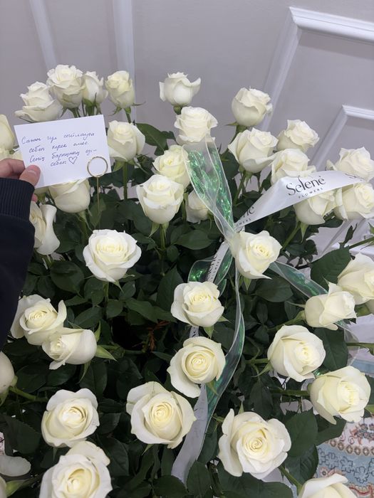 Роза белый новые красивый цветы на любой день рождениеоно огромный поч